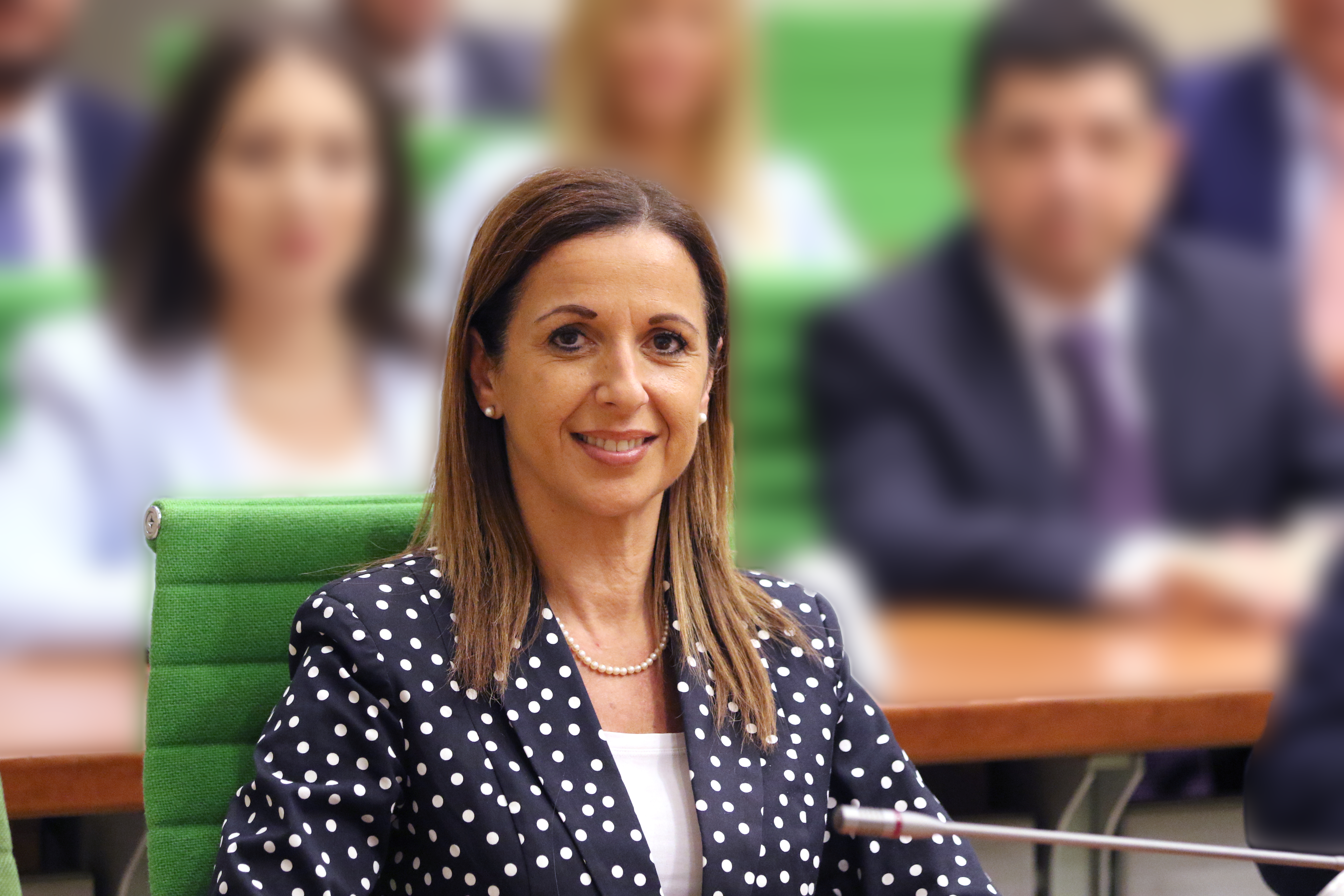 Paula Mifsud Bonnici in Parliament